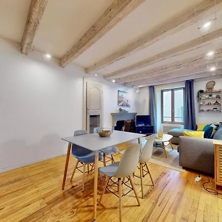 Le Cocon Rousseau - Pretty T2 In Old Town Apartman Annecy